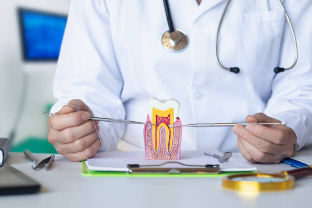 Best Urgent Dental Care for Toothache in Mayo, SC
